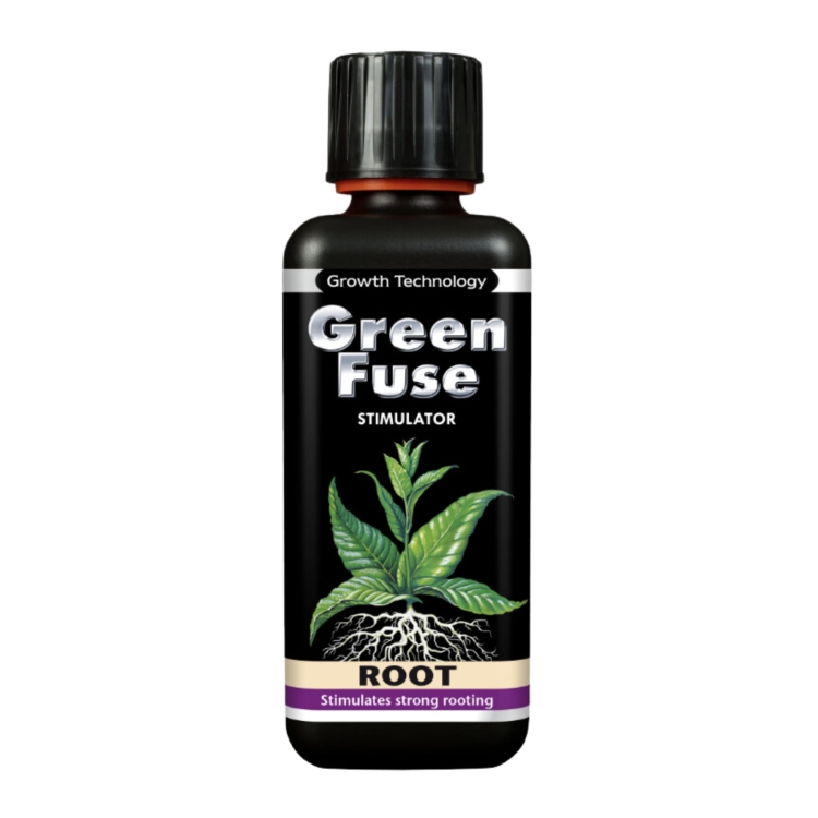Green Fuse Root.jpg