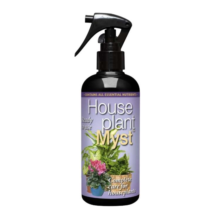 HousePlant Myst.jpg