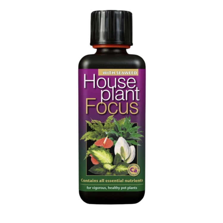 Houseplant focus 300ml.jpg