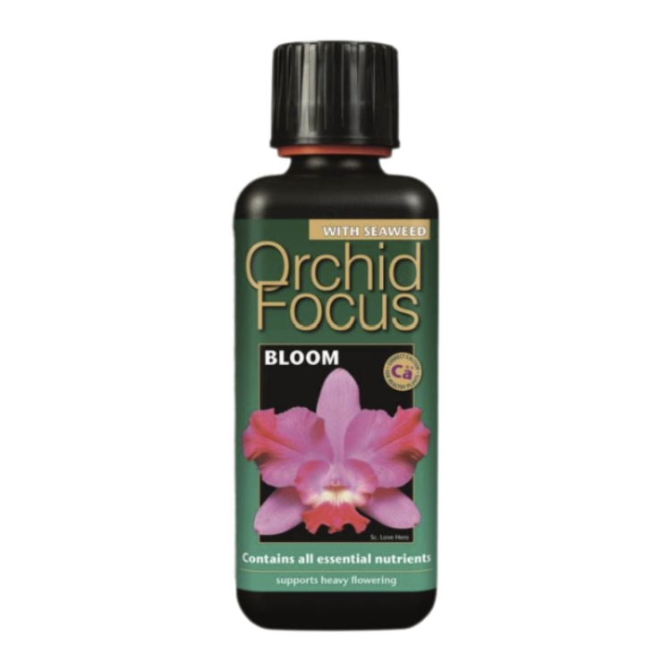 Orchid Focus bloom 300ml.jpg