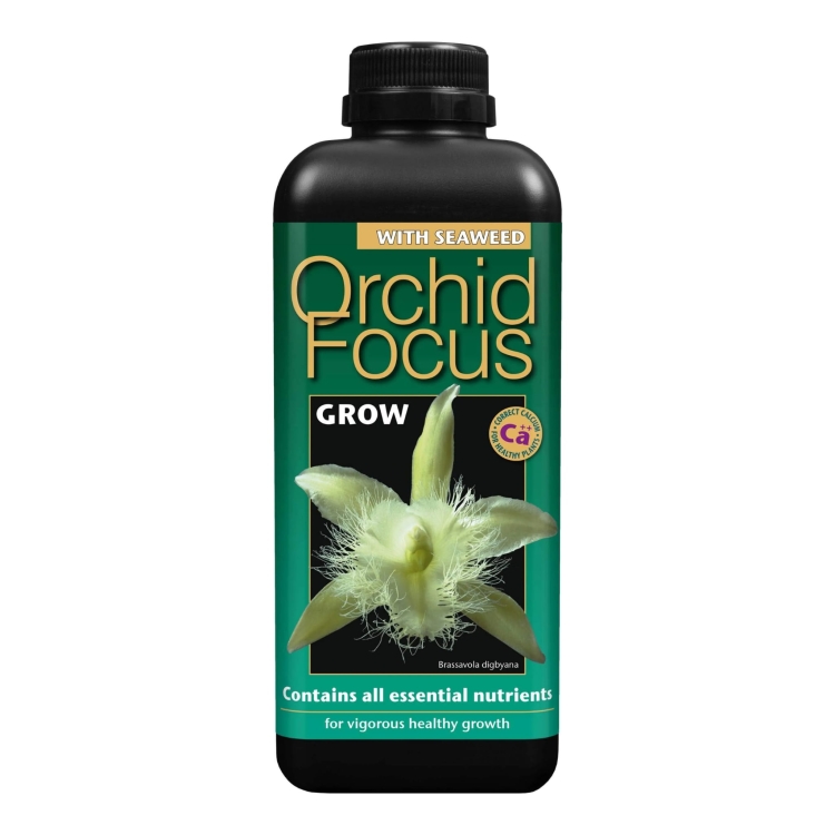 Orchid Focus Grow 1l.jpg