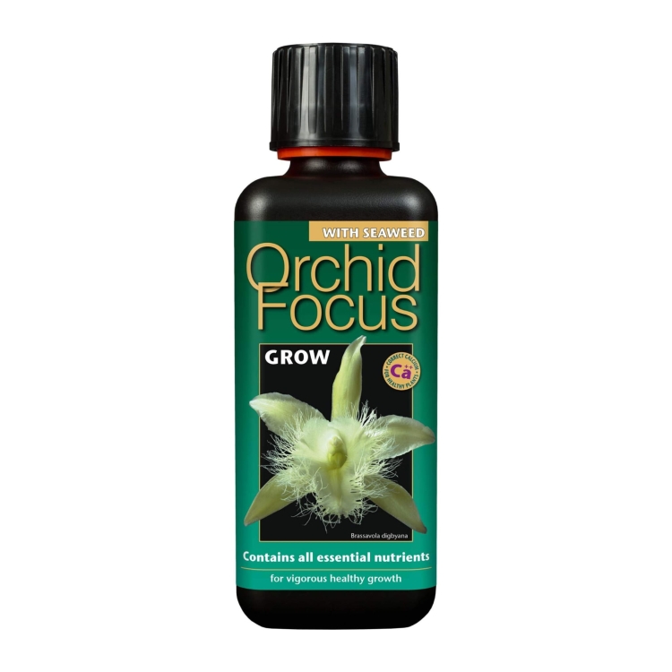 Orchid Focus Grow 300ml.jpg