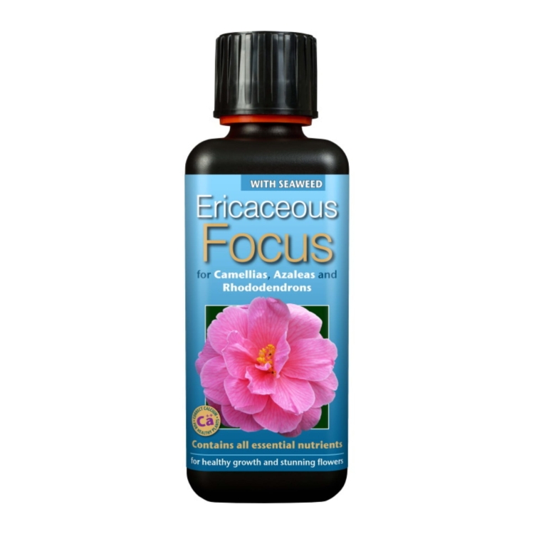 Ericaceus Focus 300ml.jpg