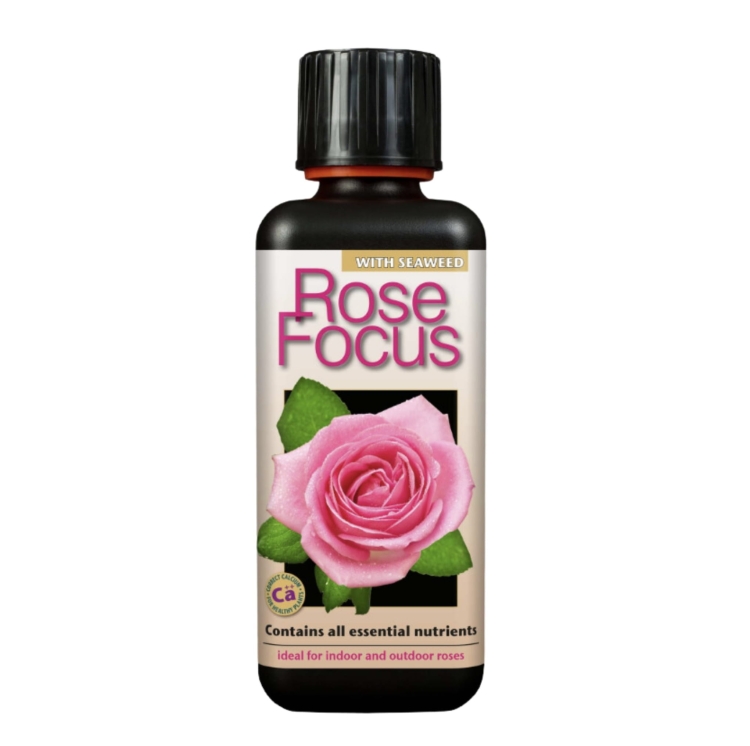 Rose Focus 300ml.jpg