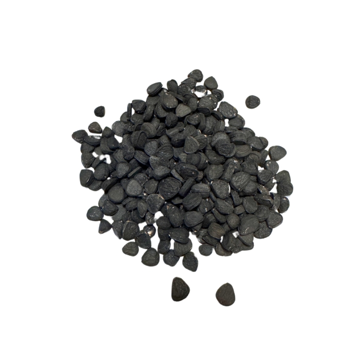 Nasiona-Juki-Treculeana -Yucca-Treculeana (5).jpg