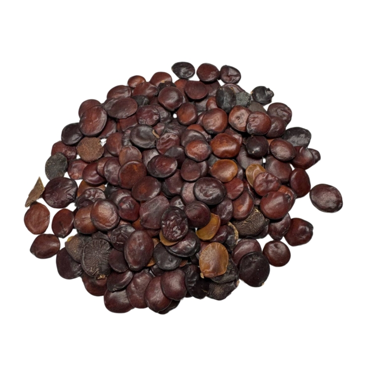 Nasiona-Meksykanskiej-Lili-Gliricidia-Maculata(2).jpg