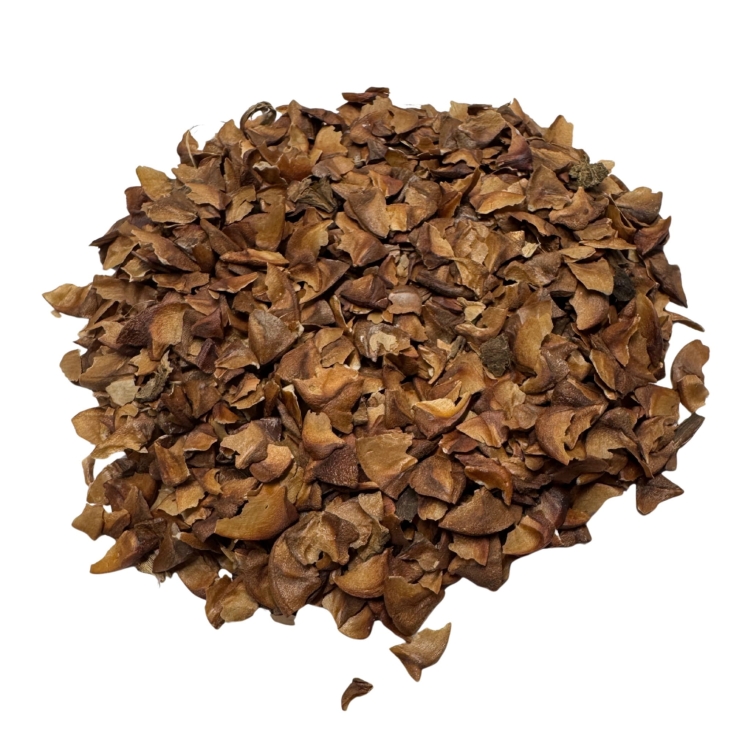 Nasiona-Lagerstremii-Wspanialej-Lagerstroemia-Speciosa (4).jpg