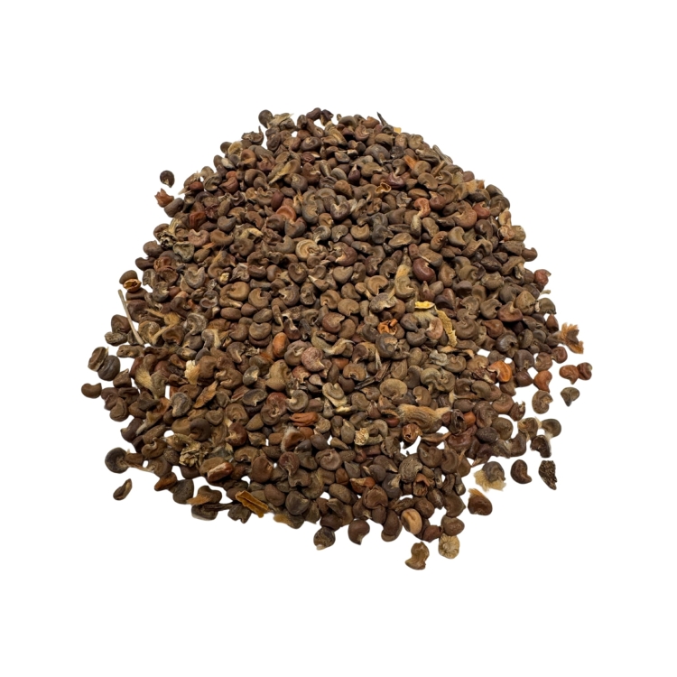 Nasiona-Ketmii-Syryjskiej-Hibiscus-Syriacus  (5).jpg