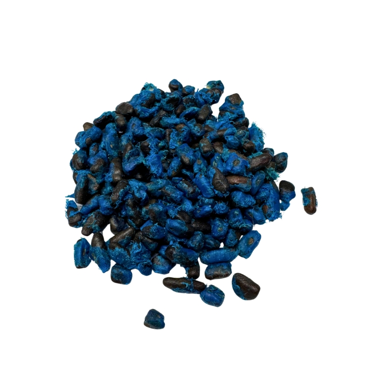 Nasiona-Czerwonego-Pielgrzana-Madagaskarskiego-Ravenala-sp.-Honkondambo (5).jpg