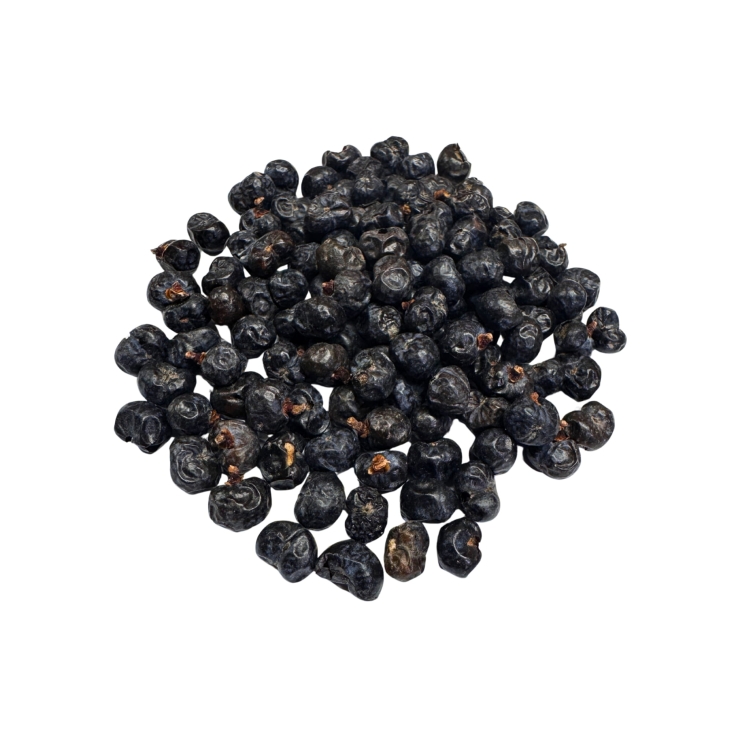 Nasiona-Szorstkowca-Wagnera-x-Princeps-Trachycarpus-Wagnerianus-x-Princeps (5).jpg