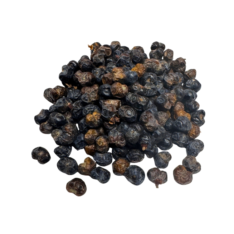 Nasiona-Szorstkowca-Fortunego-x-Princeps-Trachycarpus-Fortunei-x-Princeps (4).jpg