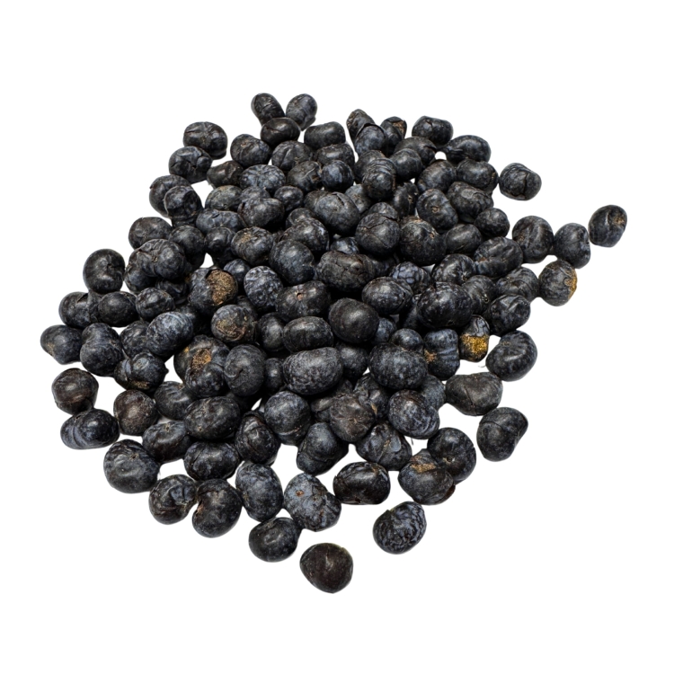 Nasiona-Szorstkowca-Wagnera-x-Nanus-Trachycarpus-Wagnerianus-x-Nanus (3).jpg