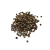 Nasiona-Wilczomlecza-Wielkiego-Euphorbia-Ingens (7).png