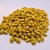 Nasiona-Drzewa-Koronkowego-Brachychiton-Discolor (7).jpg