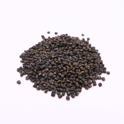 Nasiona-Kaktusa-Starzec-Z-Gor-Oreocereus-Celsianus (6).jpg