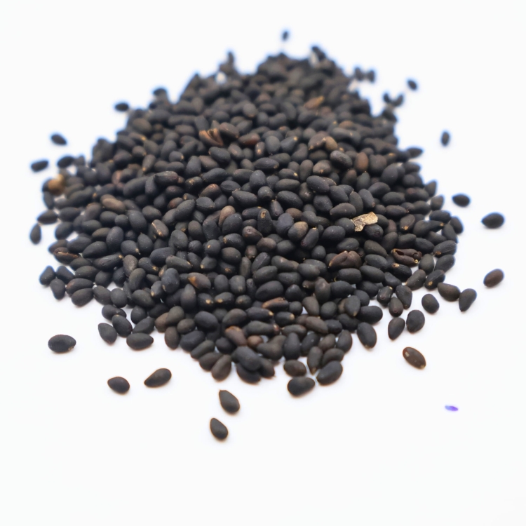 Nasiona-Bawelny-Diabelskiej-Abroma-Augusta (6).jpg