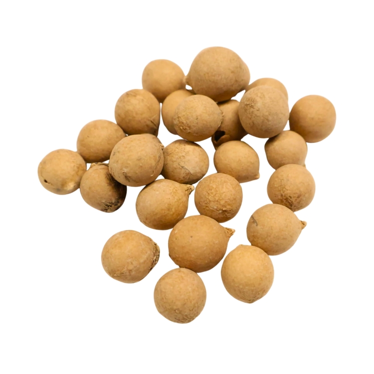 Copernicia-Fallaensis.jpg