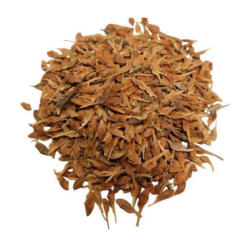 Acer Ginnala .jpg