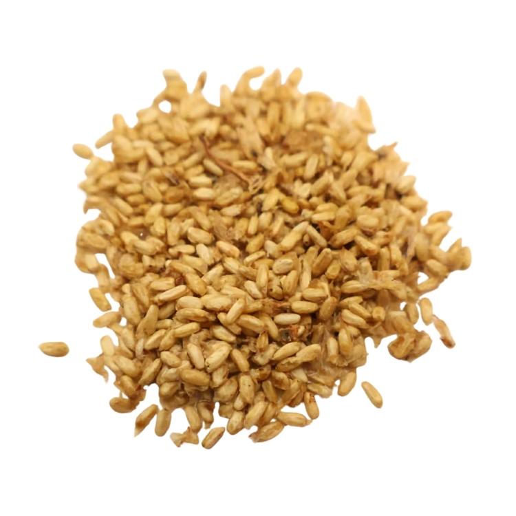 Filodendronu Selloum