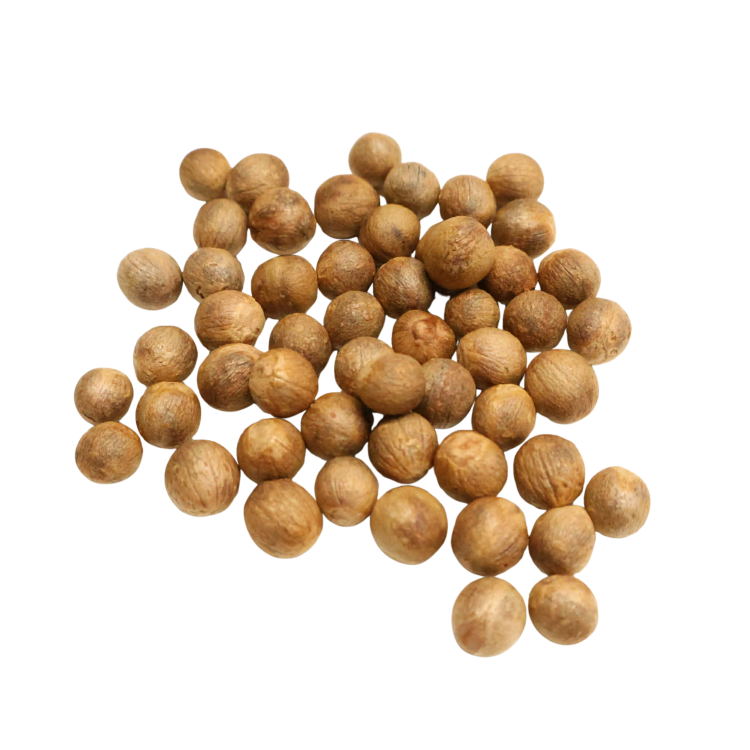 Nasiona-Palmy-Trójzębnej-Trithrinax-Campestris (1).png