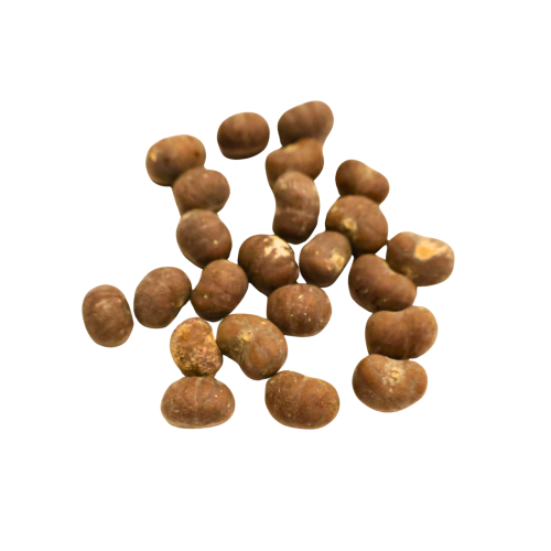 Nasiona-Palmy-Majów-Gaussia-Maya (6).png