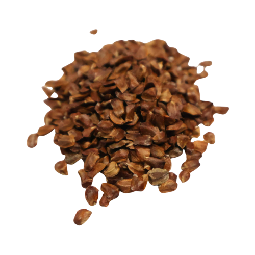 Nasiona-Cyprysa-Wiecznie-Zielonego-Cupressus-Sempervirens (5).png