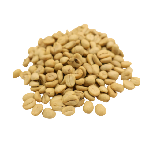 Nasiona-Kawy-Arabskiej-'Borbón'-Coffea-Arabica-'Borbón' (5).png