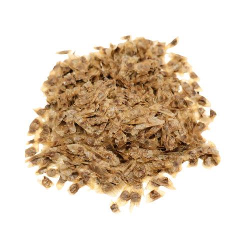 _Nasiona-Milinu-Amerykańskiego-Campsis-Radicans (6).png