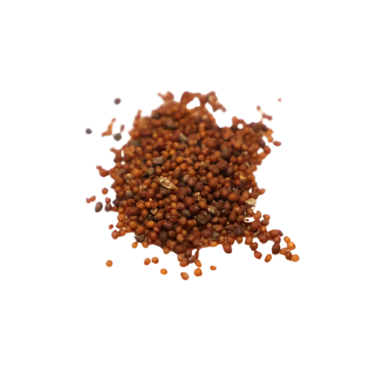 Nasiona-Kaktusa-Poduszeczki-Mammillaria-Peninsularis.png