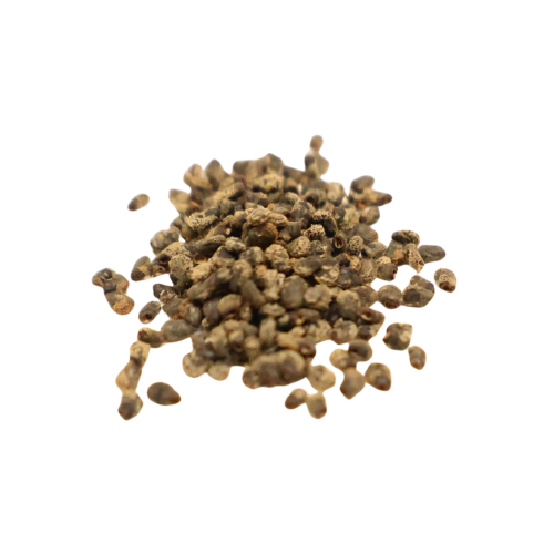 Nasiona-Kaktusa-Nocnego-Kwiatu-Harrisia-Tetracantha (3).png