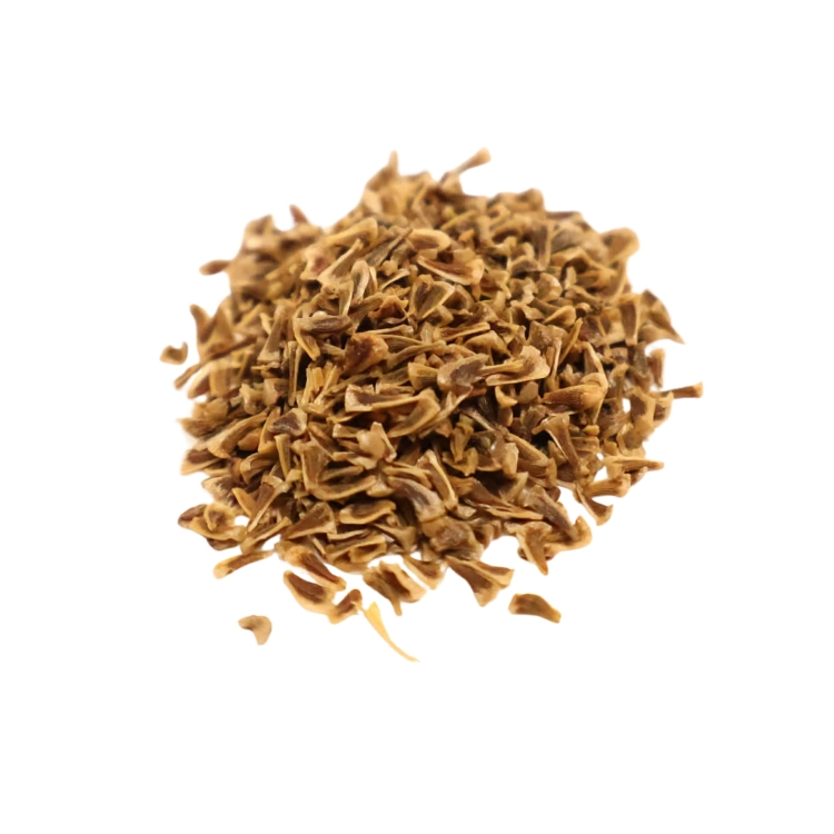 Nasiona-Puya-Kolczasta-Puya-Coerulea (6).png