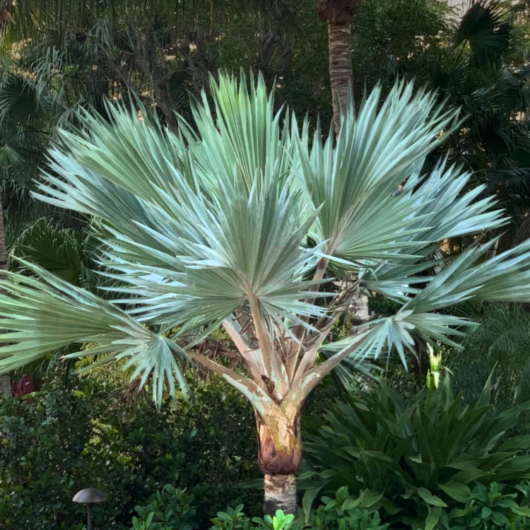 Projekt bez nazwy.zip - 1.jpeg