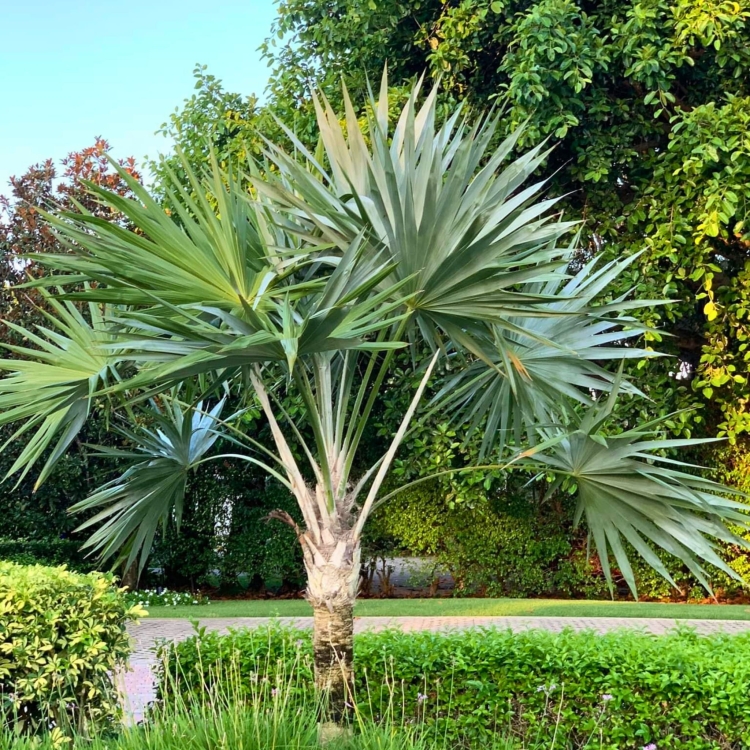 Projekt bez nazwy.zip - 2.jpeg