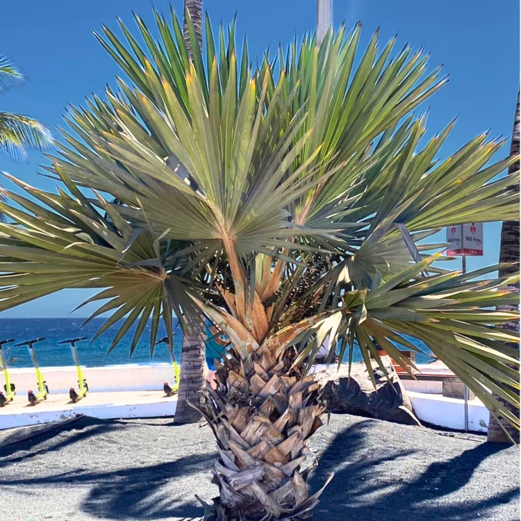 Projekt bez nazwy.zip - 3.jpeg