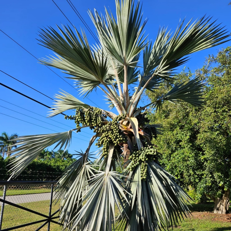 Projekt bez nazwy.zip - 4.jpeg