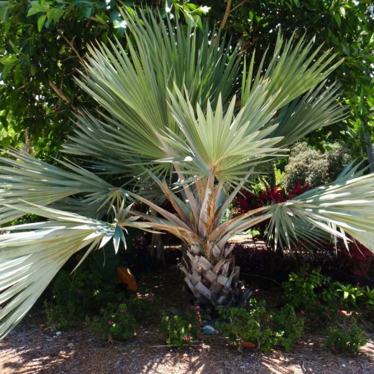 Projekt bez nazwy.zip - 6.jpeg