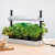 Micro-Grow-Light-Garden-LED-White-Garland  (4).png