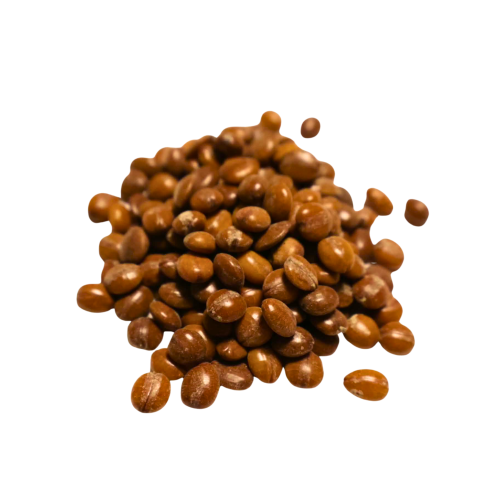 Nasiona-Strączyńca-Brązowego-Cassia-Moschata (1).png