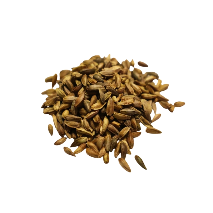 Nasiona-Stokrotki-Afrykańskiej-Dimorphotheca-Fruticosa.png