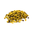Nasiona-Drzewa-Butelkowego-Brachychiton-Rupestris.png