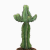 Nasiona-Wilczomlecza-Coopera-Euphorbia-Cooperi (6).png