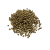 Nasiona-Wilczomlecza-Coopera-Euphorbia-Cooperi (1).png