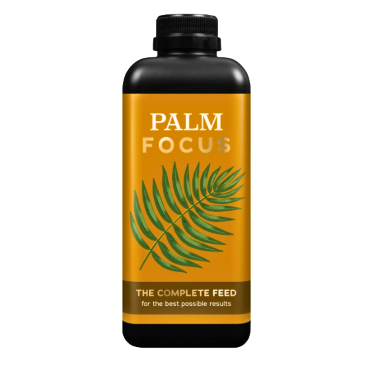 Palm Focus 1L (2).png