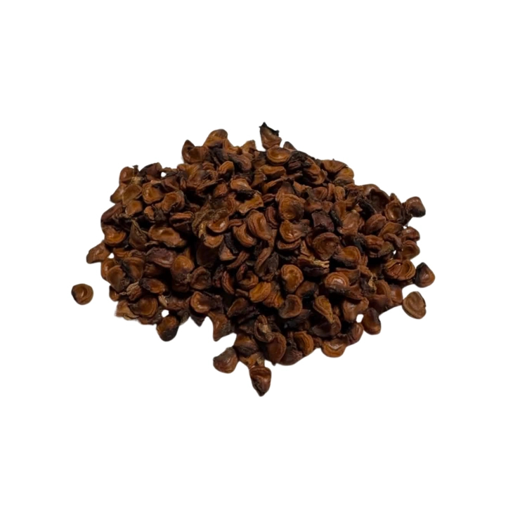 Nasiona-Bielunia-Surmikwiatu-Białego-Datura-Metel (4).png