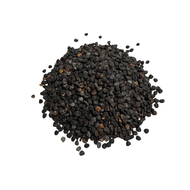 Nasiona-Bielunia-Dziędzierzawy-Datura-Stramonium (4).png