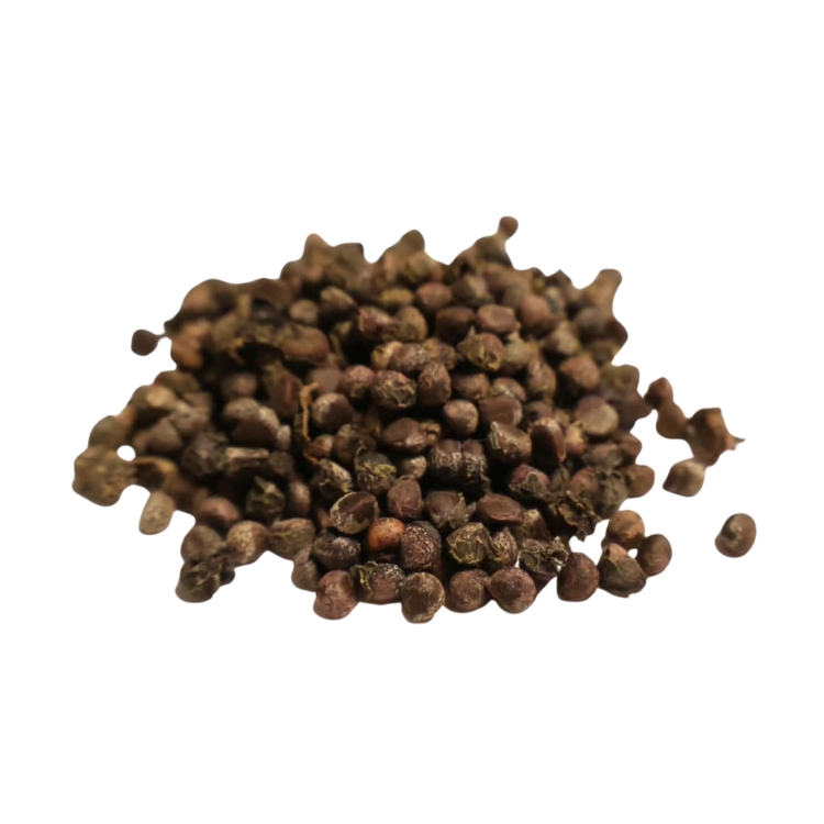 Nasiona-Nadłużynu-Wielkolistnego-Leea-Macrophylla (6).png
