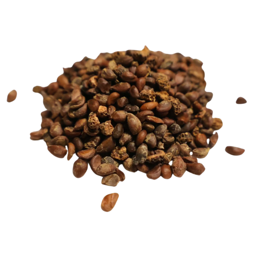 Nasiona-Świdośliwy-Olcholistnej-Amelanchier-Alnifolia (5).png