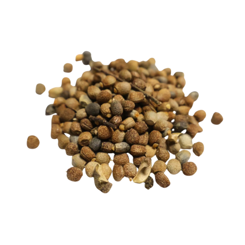 Nasiona-Wilczomlecza-Groszkowego-Euphorbia-Lathyris (5).png