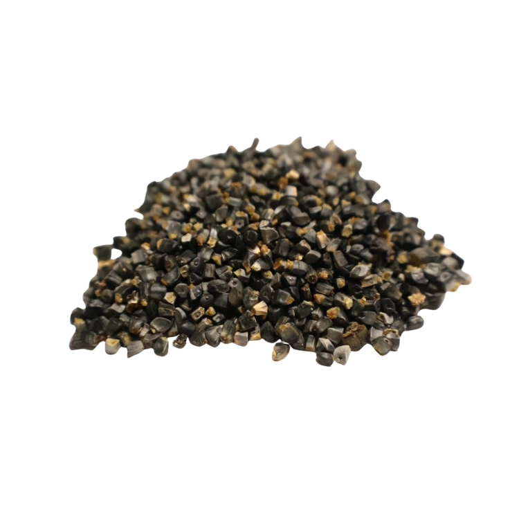 Nasiona-Imbirowca-Krepowanego-Hellenia-Speciosa.png