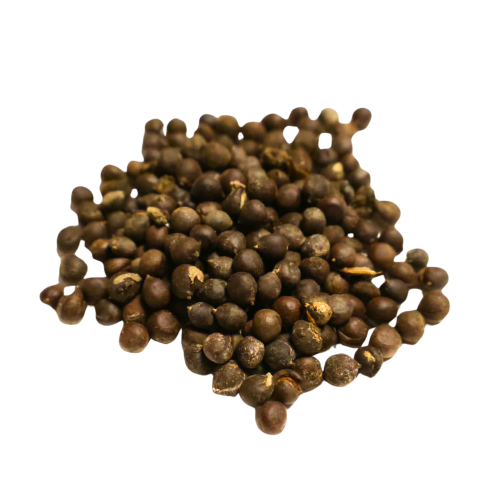 Nasiona-Roztrzeplina-Dwupierzastego-Koelreuteria-Bipinnata (2).png